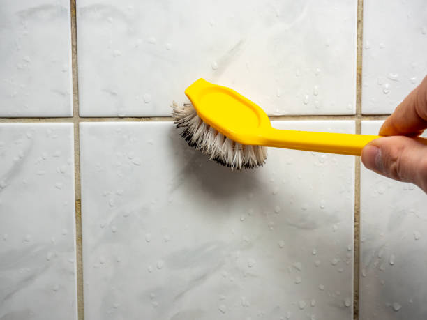 Certified Mold Removal in Gibson City, IL