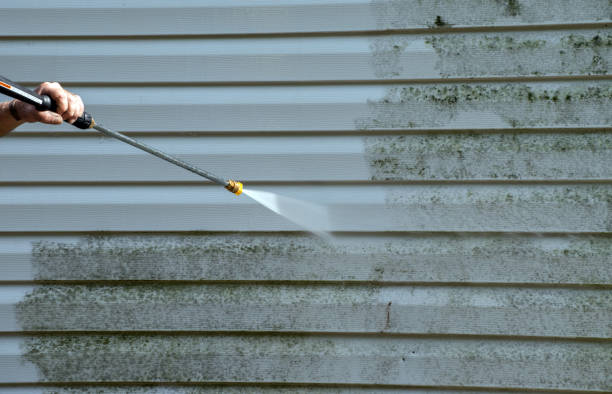 Professional Mold Removal in Gibson City, IL