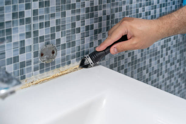 Best Emergency Mold Removal  in Gibson City, IL