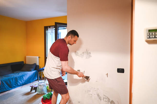 Best Mold Removal Near Me  in Gibson City, IL
